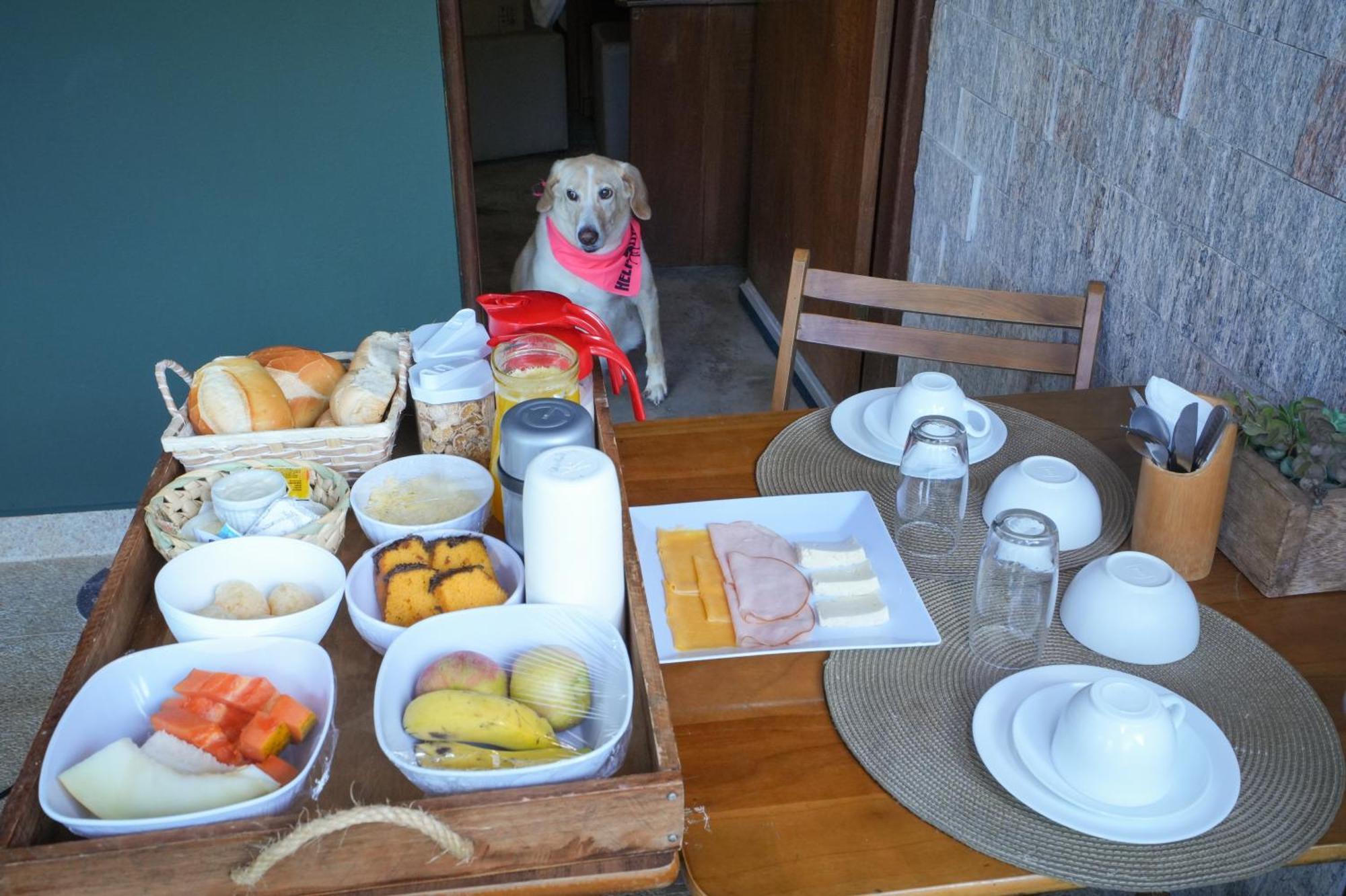 Villa Aye Pousada Boutique Petfriendly Socorro  Exteriér fotografie