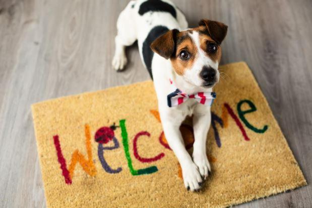 Villa Aye Pousada Boutique Petfriendly Socorro  Exteriér fotografie